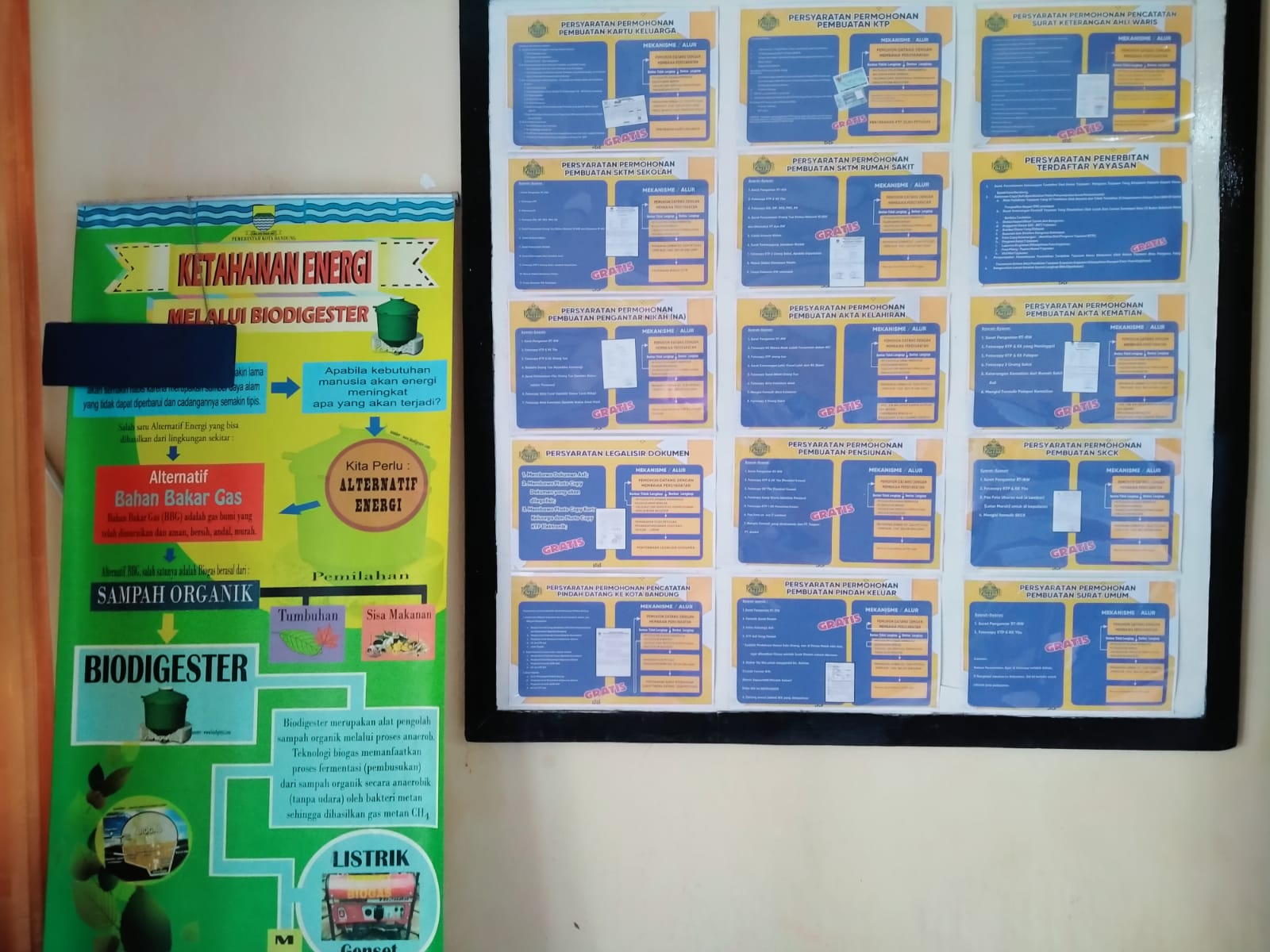 WhatsApp Image 2022-06-27 at 09.49.12.jpeg