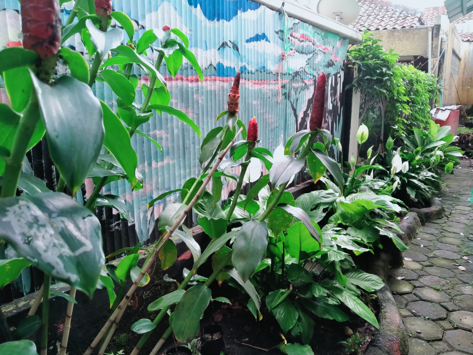 WhatsApp Image 2022-06-27 at 09.10.13 (1).jpeg