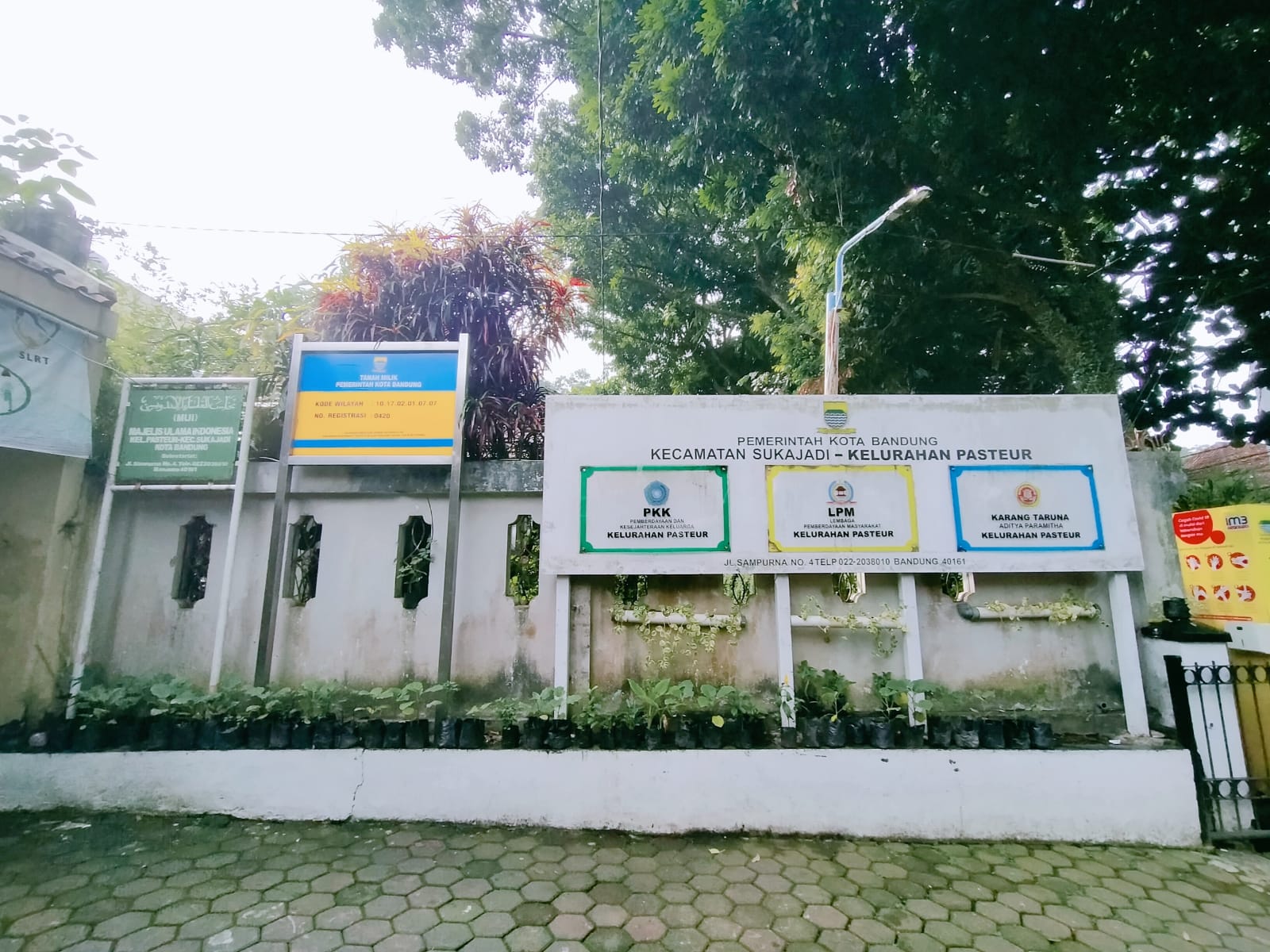 WhatsApp Image 2022-06-17 at 09.11.35.jpeg