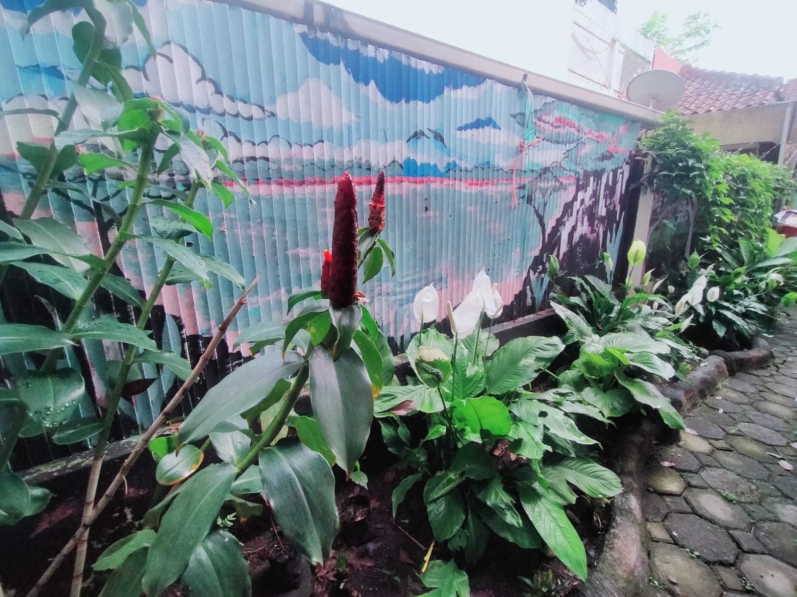 WhatsApp Image 2022-06-27 at 09.10.13.jpeg