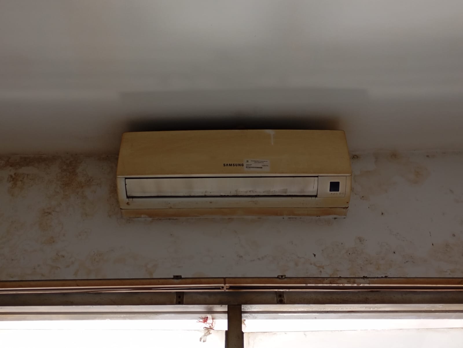 WhatsApp Image 2025-08-27 at 08.50.22.jpeg