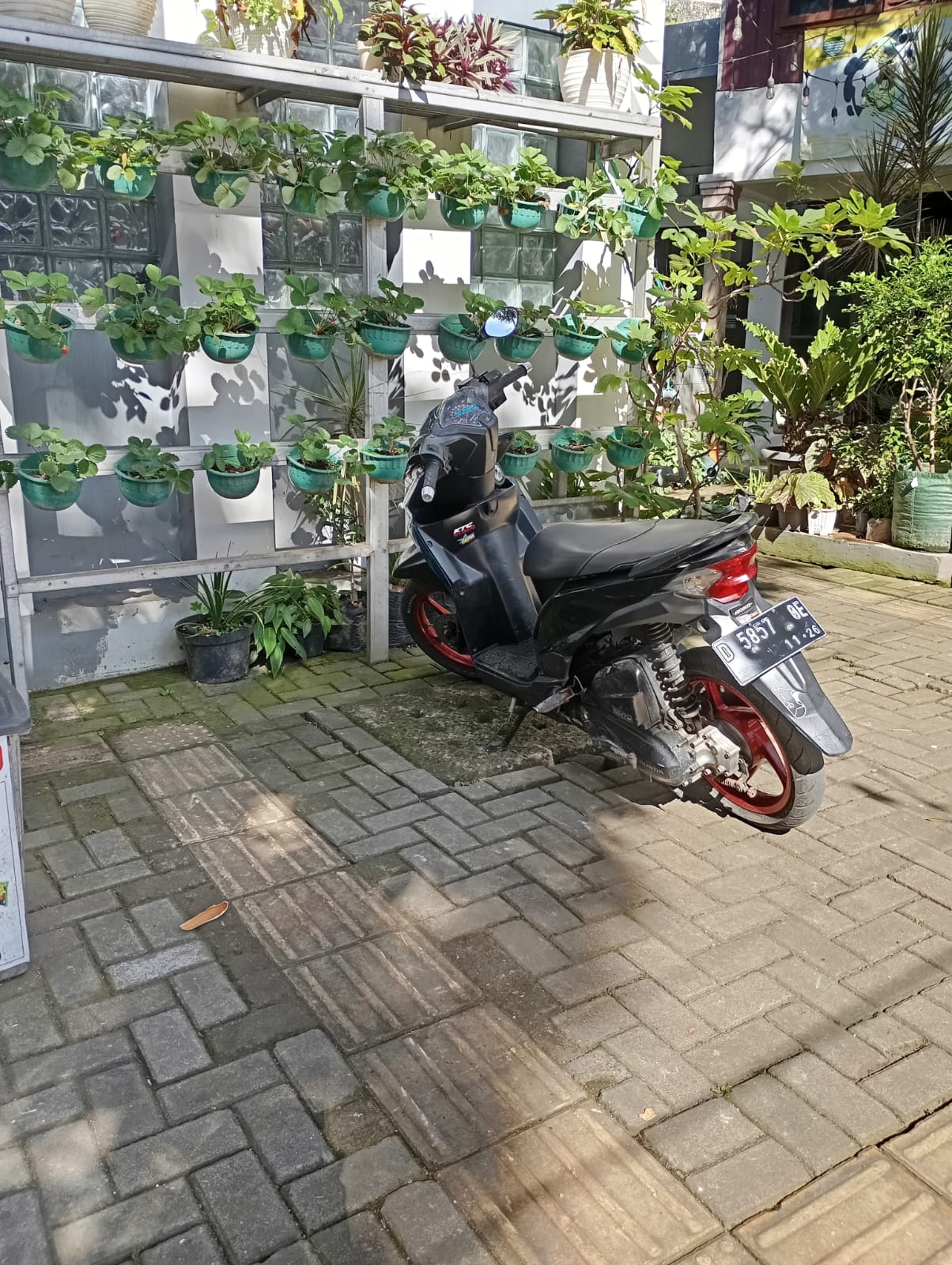 WhatsApp Image 2025-08-27 at 08.40.15.jpeg