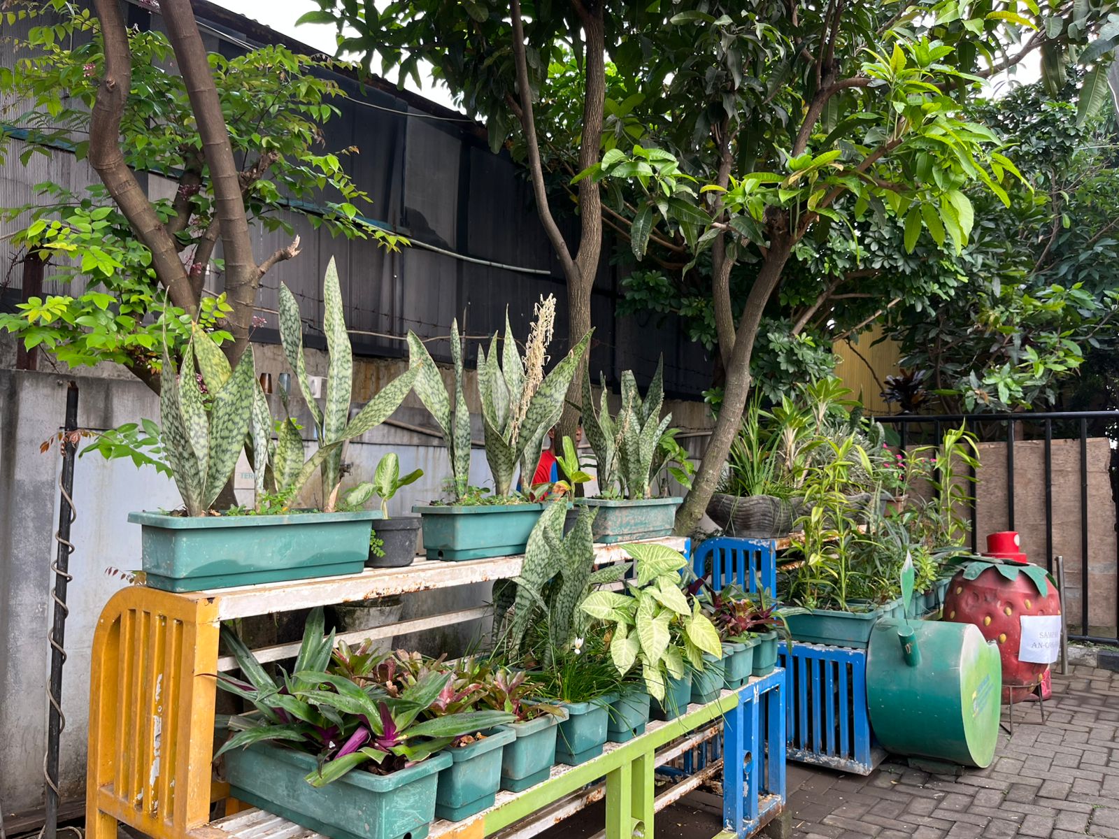 WhatsApp Image 2025-08-05 at 08.53.13 (15).jpeg