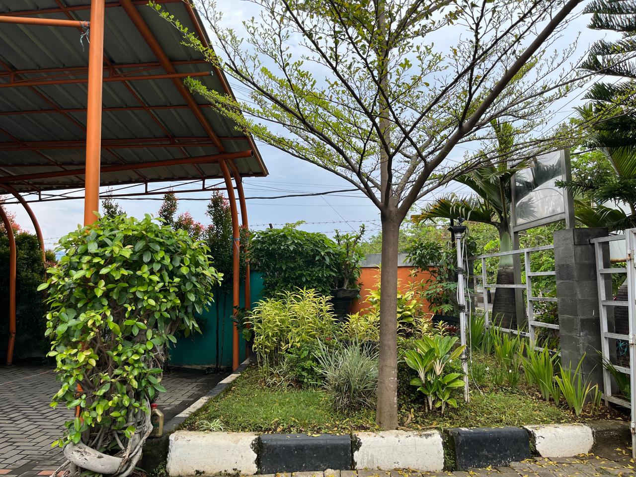 WhatsApp Image 2025-08-02 at 11.21.57 (1).jpeg