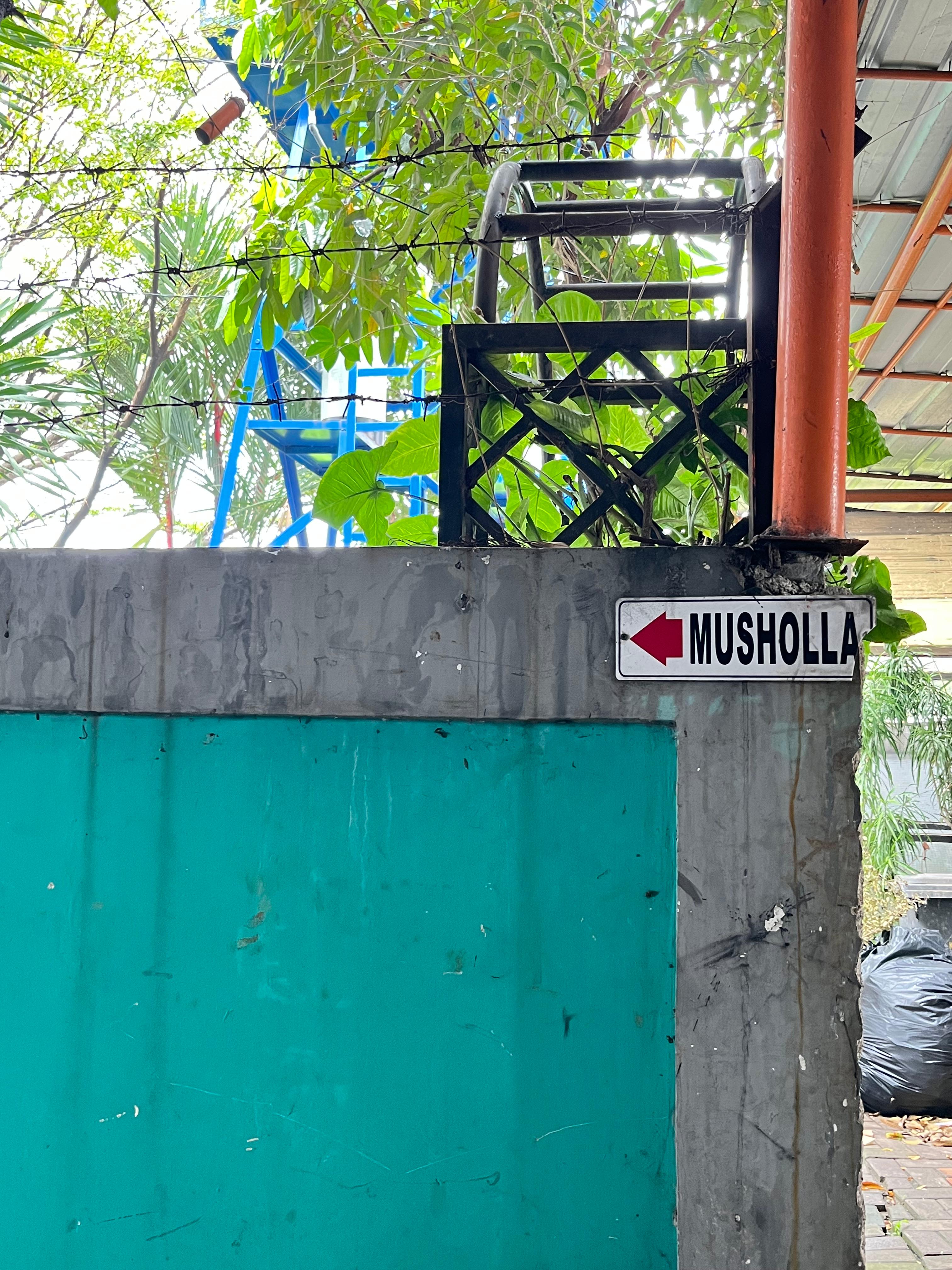 WhatsApp Image 2025-08-14 at 10.49.45.jpeg