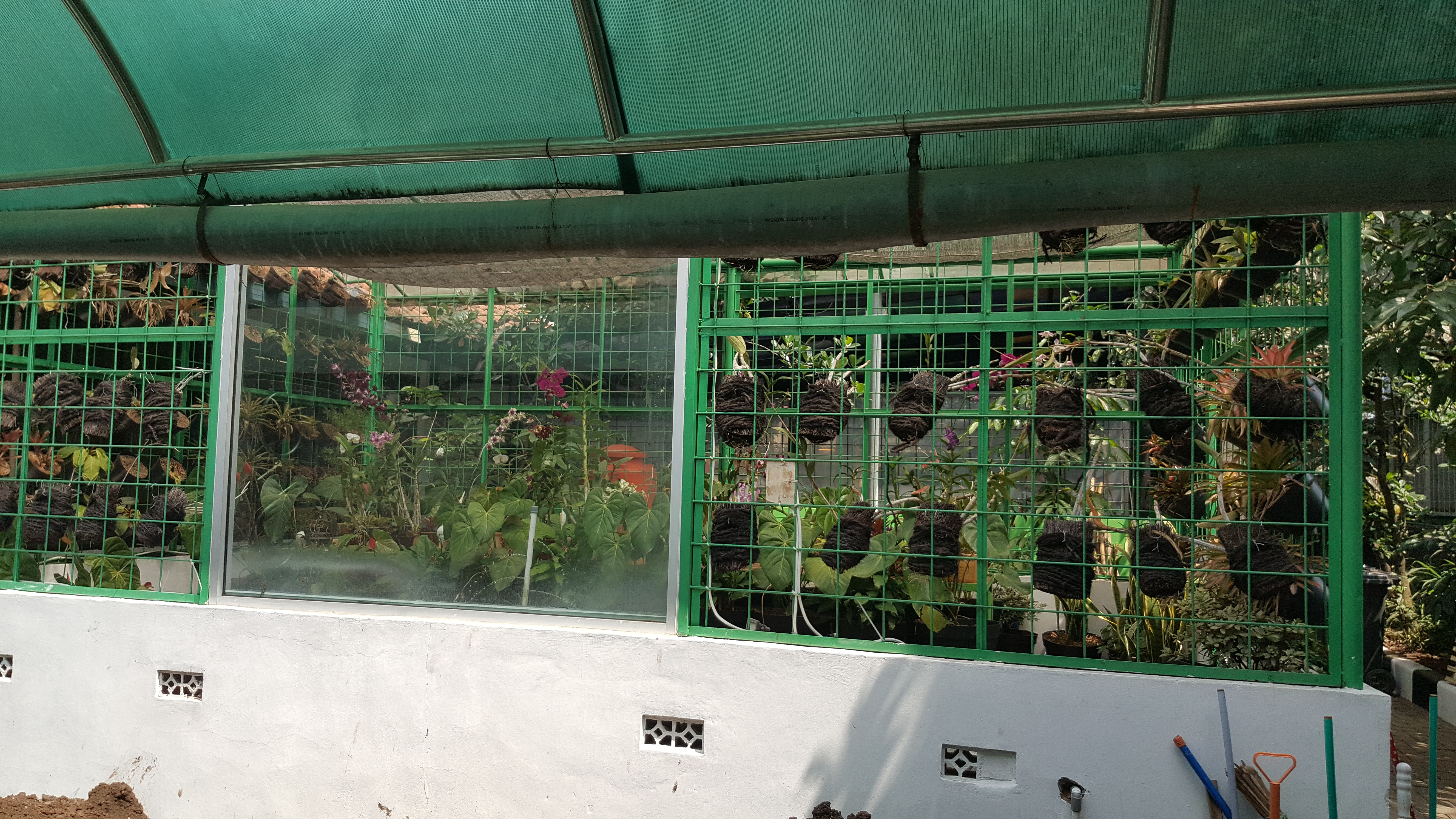 GREEN HOUSE.jpg
