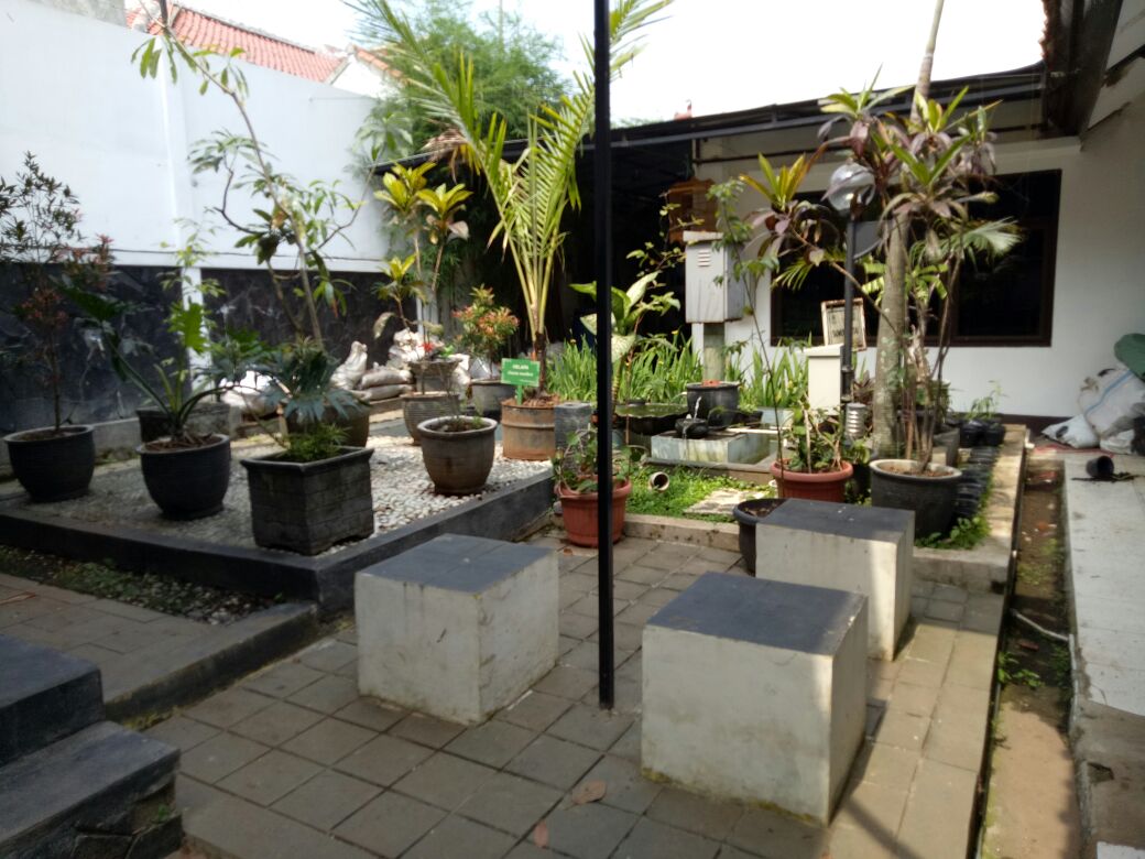 TAMAN BELAKANG KANTOR (MUSHOLA).jpg