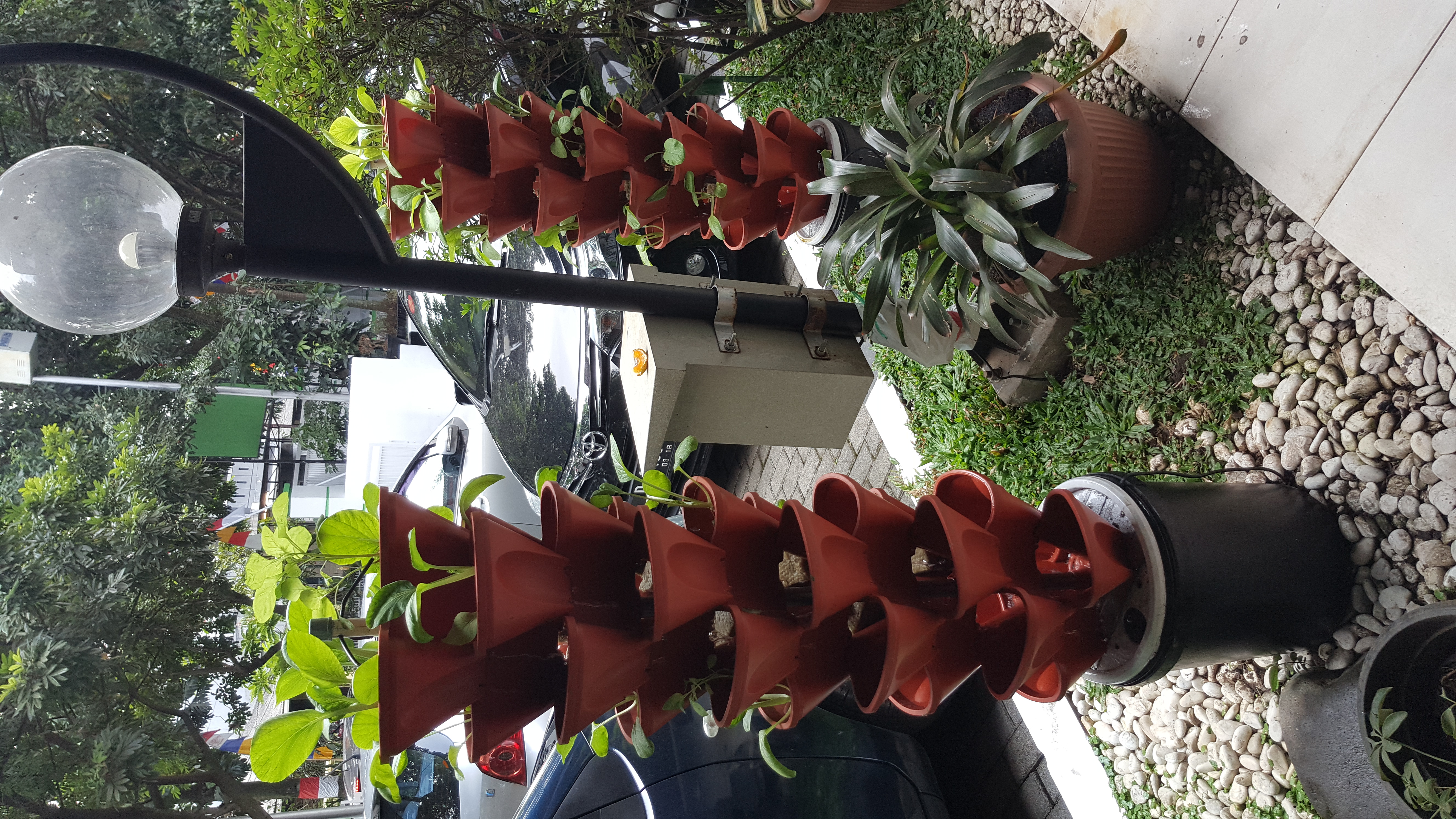SARANA URBAN FARMING.jpg