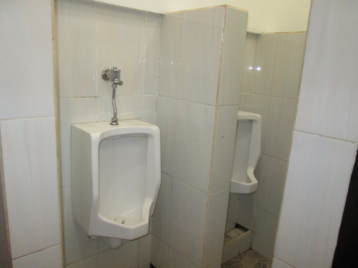 toilet2-x.jpg