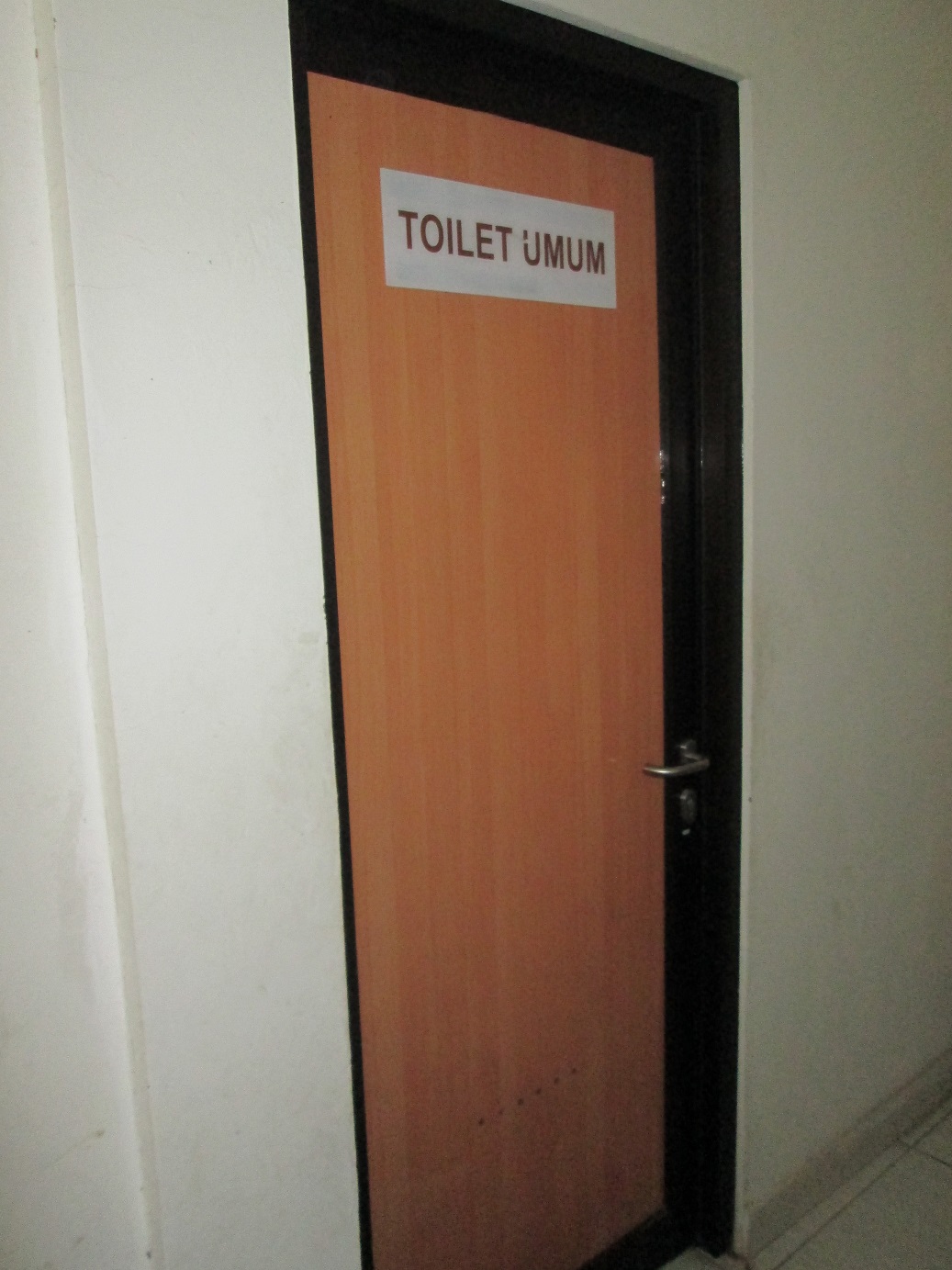 toilet4-x.jpg