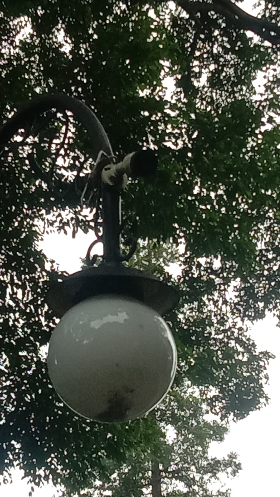 IMG-20251215-WA0151 - Deri Adriansyah.jpg