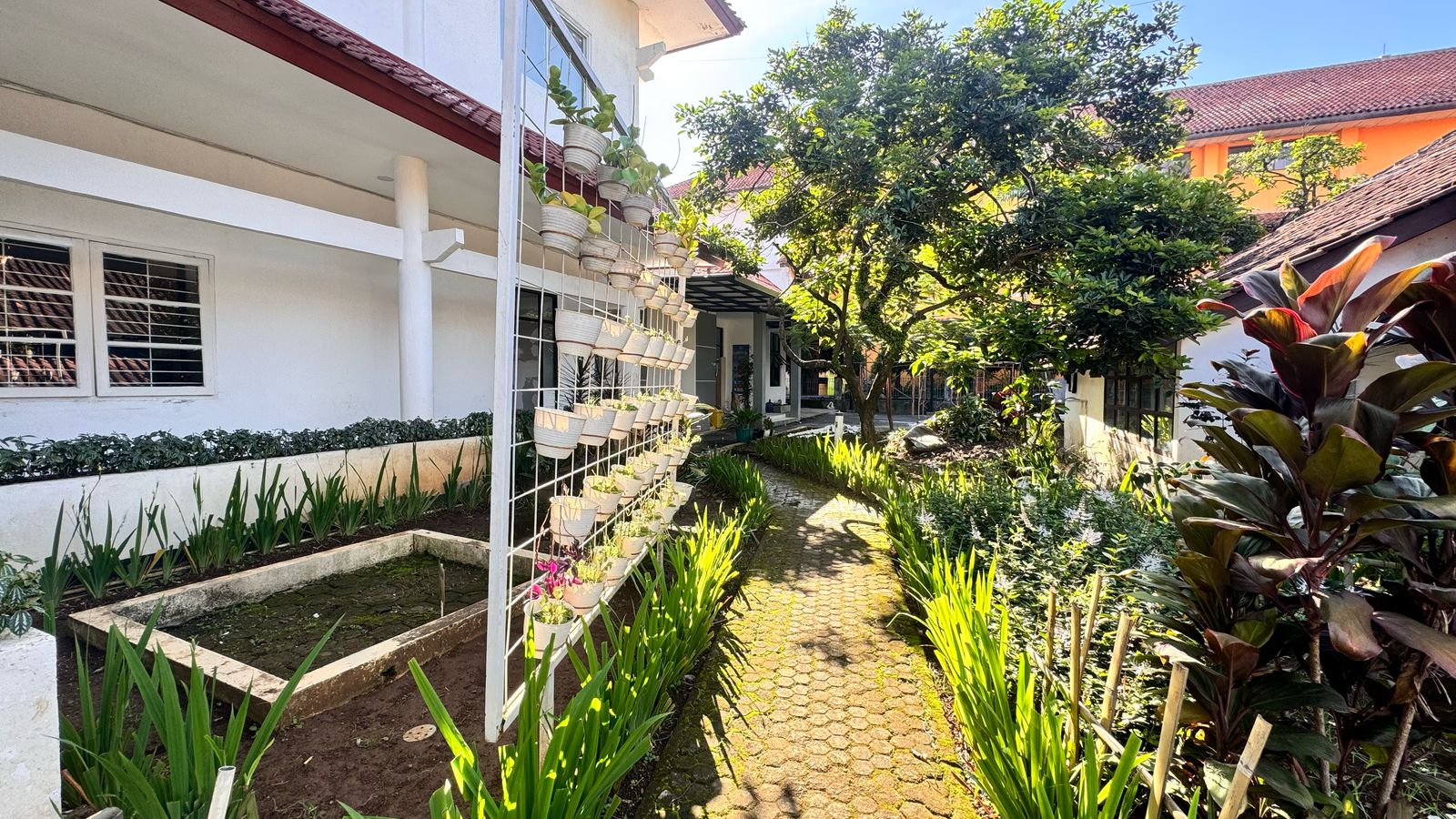 WhatsApp Image 2025-04-28 at 08.17.21 (1).jpeg