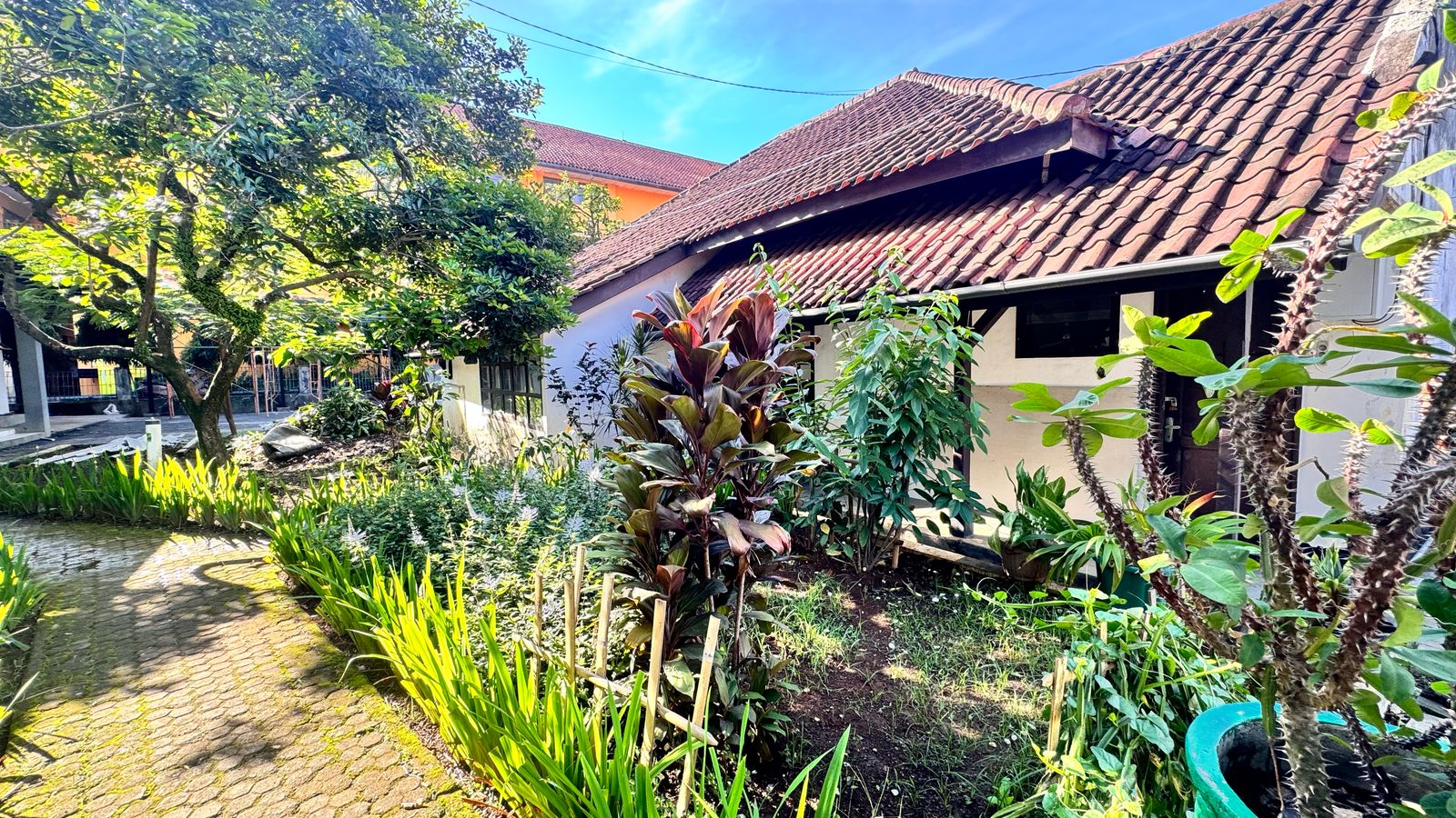 WhatsApp Image 2025-04-28 at 08.17.22.jpeg