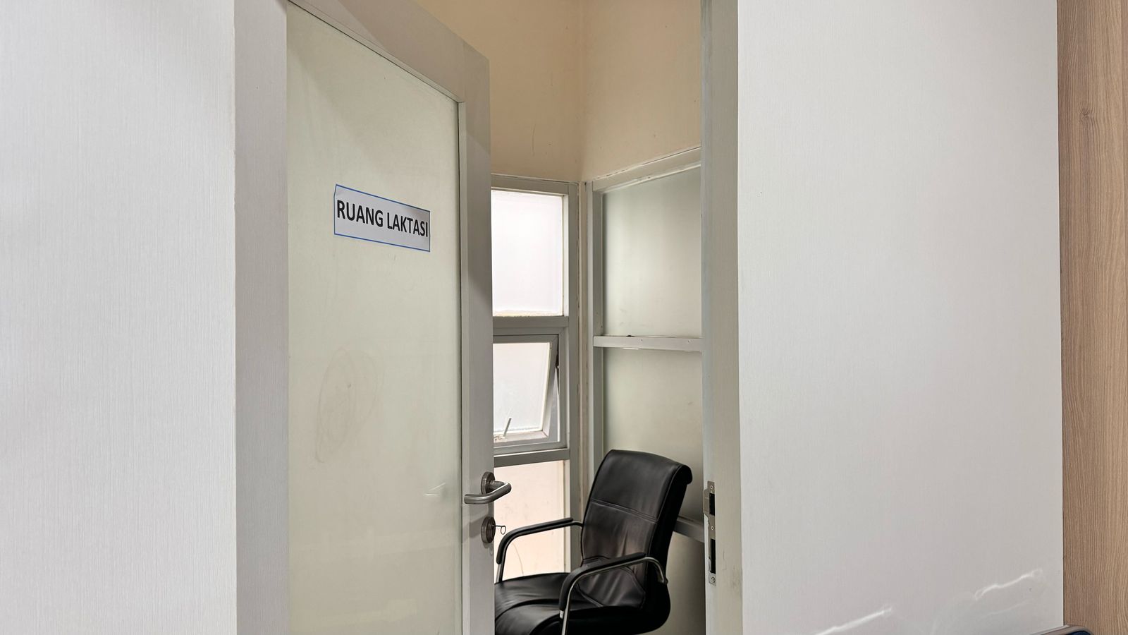 WhatsApp Image 2025-04-25 at 10.13.57.jpeg