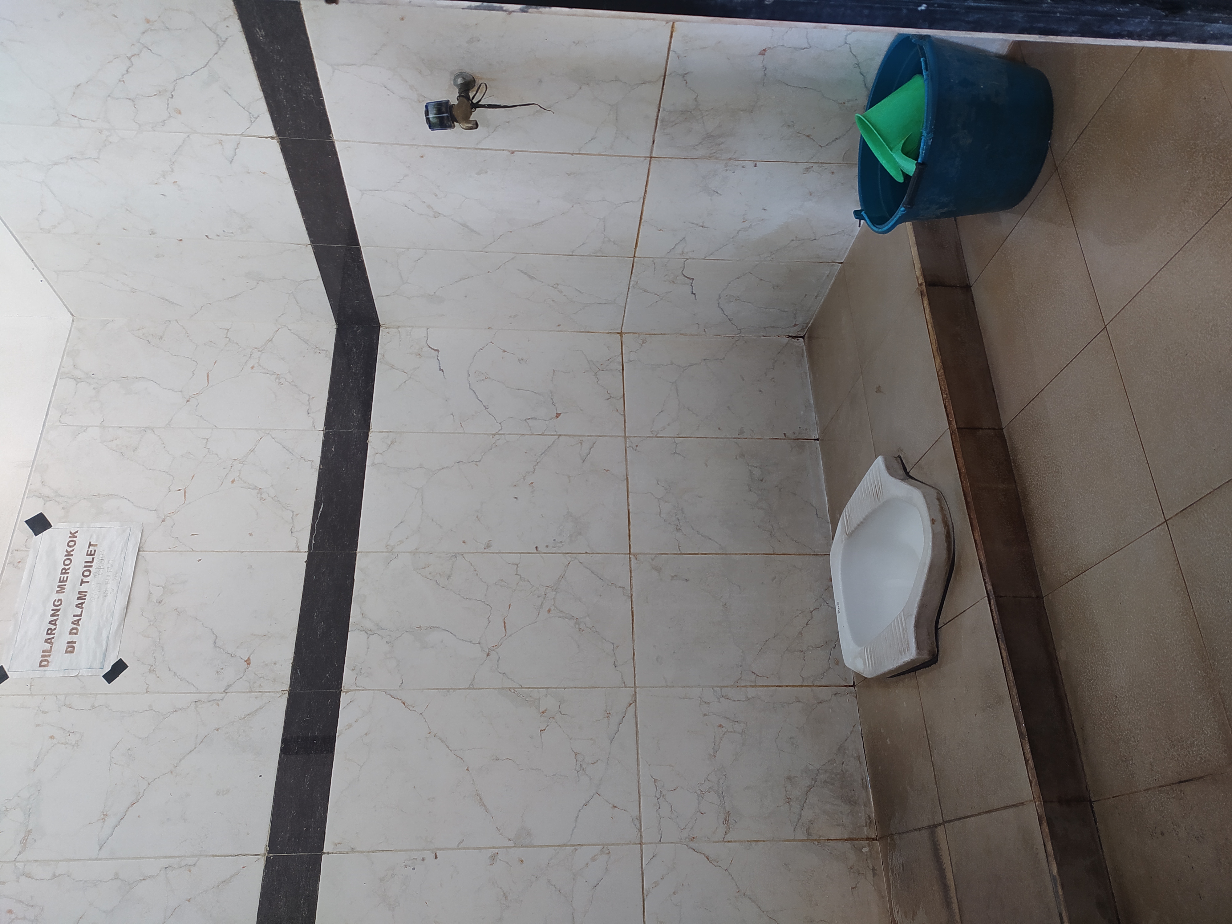 Toilet.jpg