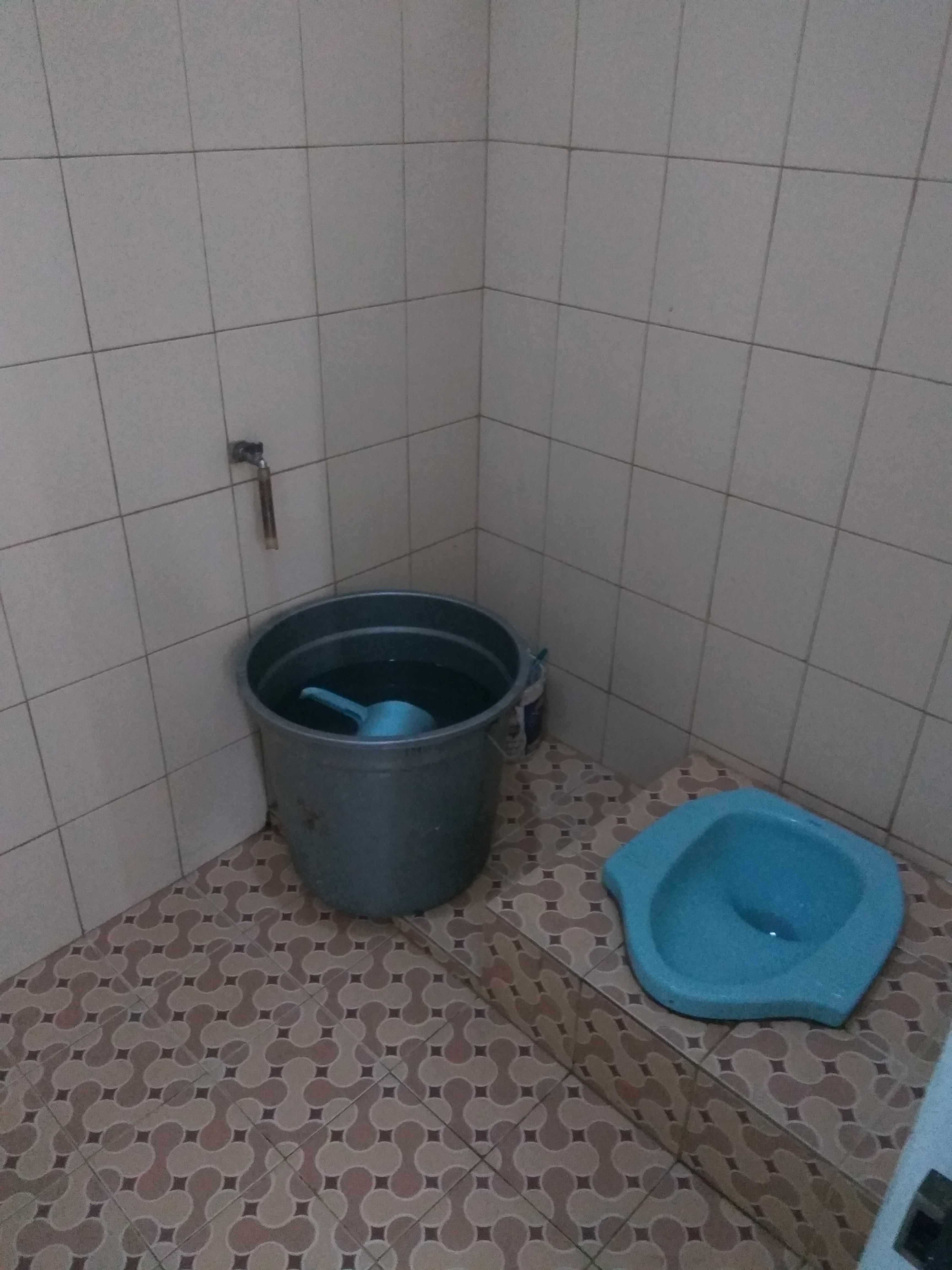 toilet.jpg